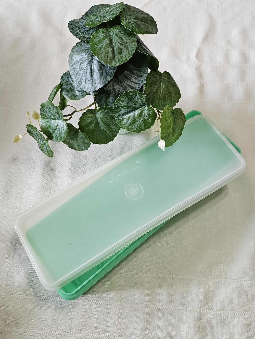 Vintage Tupperware Celery/Vegetable Crisper